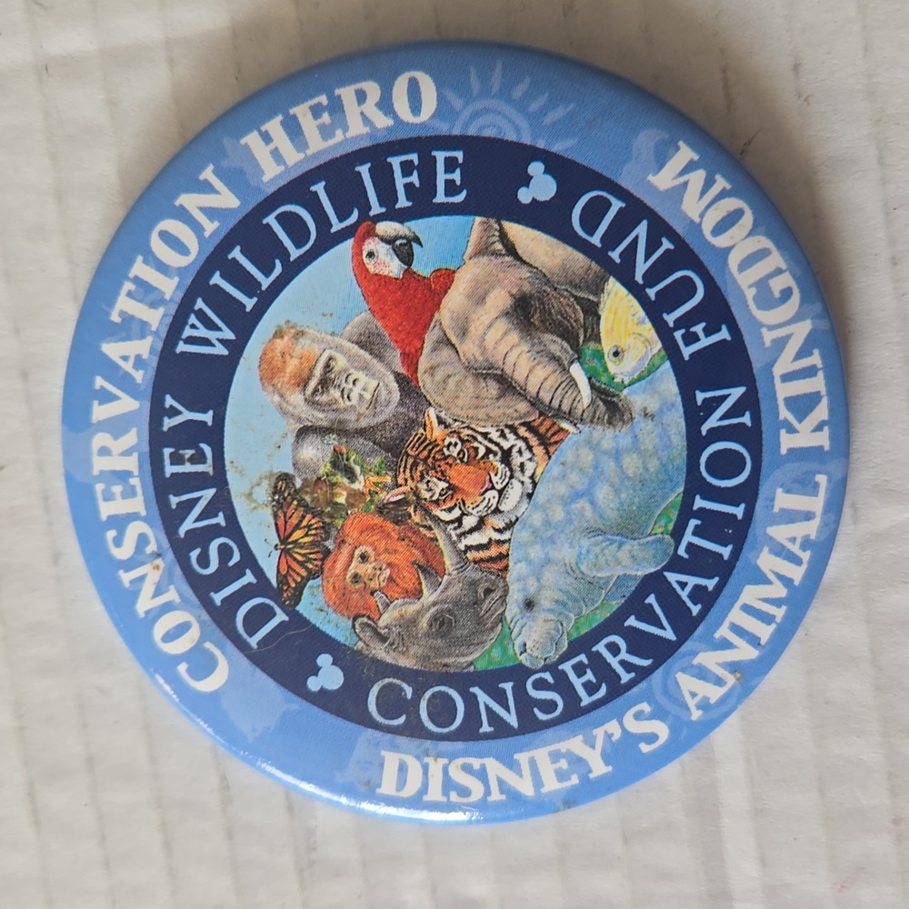 Disney Badge Button: Disney's Animal Kingdom/Walt Disney World 1st Visit Pin